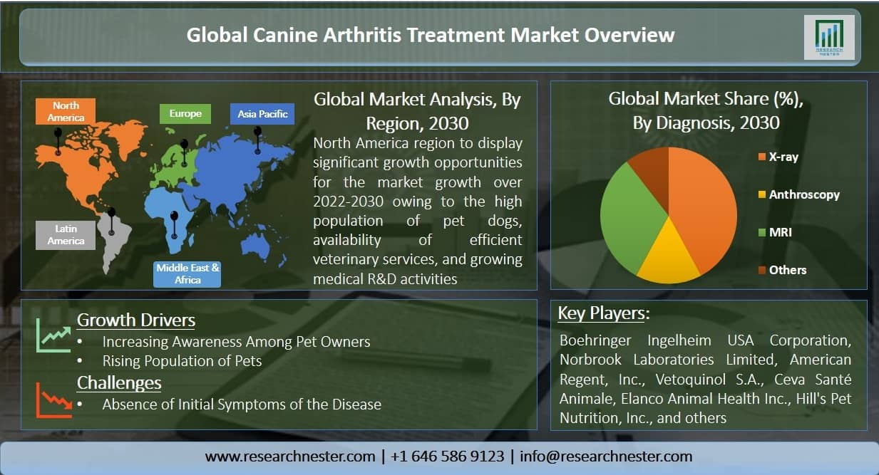 Canine Arthritis Treatment Market Overview